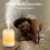 Diffuseur d'huiles essentielles avec veilleuse 4