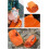 Schlafsack, 210 x 90 cm, orange 2