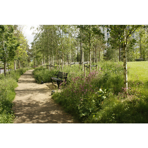 Wildflower Turf Shade Tolerant - 30 pack 1