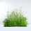 Wildflower Turf Landscape 34 - 40 pack 2