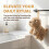 Serviette chien chenille, boule microfibre mains 5