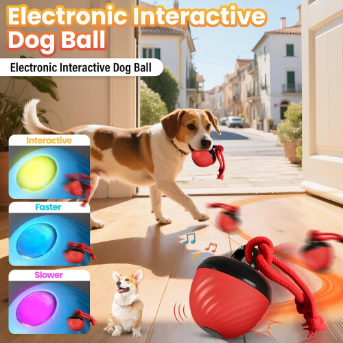 Interactieve hondenbal, slim, blauw 1