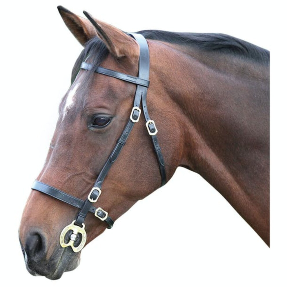 Photos - Equestrianism  Blenheim Leather Plain Horse Inhand Bridle(Cob, Black)