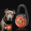 LED Dog Collar, Light-Up Night Safety Pendant, Orange 1