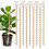 10 Estacas Eletrolíticas para Plantas, Antena de Bobina de Cobre de 17 Polegadas para Jardim, Plantio Eletrônico de Horta 2
