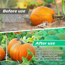 10 Stuks Elektrolytische Plantenpalen, 17 Inch Koperen Spoelantenne Tuinpalen, Elektronische Plantenbak voor de Moestuin