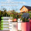 Solar Irrigation System for Garden Balcony Automatic Drip Irrigation System DIY Garden Watering System 2