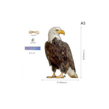 Épouvantail hibou avec clochettes - Répulsif efficace contre les oiseaux pour jardin, champs et étangs A5