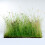 Wildflower Turf SuDS Turf - 10 pack 2