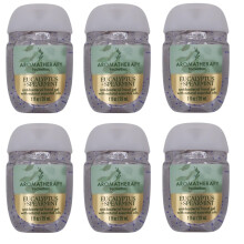 Bath and Body Works Pocketbac Gel Sanitizers - 6-pack van 30 ml (Eucalyptus Spearmint)