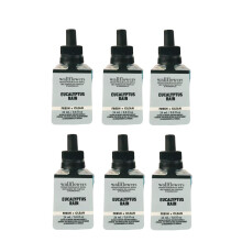 Bath and Body Works Wallflower Refills Home Fragrance - Pack of 6 (Eucalyptus Rain)