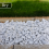 Rolawn Alpine Blue Gravel 20mm Bulk Bag 3