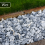 Rolawn Alpine Blue Gravel 20mm Bulk Bag 4