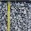 Rolawn Arctic Silver Gravel 20mm Bulk Bag 5