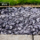Rolawn Blue Slate 20mm Bulk Bag 4