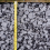 Rolawn Blue Slate 20mm Bulk Bag 5
