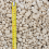 Rolawn Cotswold Decorative Chippings 20mm Bulk Bag 5