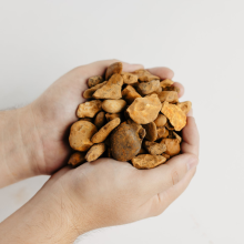 Rolawn Golden Gravel 20mm Bulk Bag