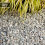 Rolawn Moonstone Chippings 20mm Bulk Bag 3