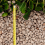 Rolawn Red Granite 20mm Bulk Bag 5