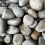Rolawn Scottish Cobbles 50-80mm Bulk Bag 3
