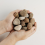 Rolawn Scottish Pebbles 20-40mm Bulk Bag 1