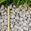 Rolawn Scottish Pebbles 20-40mm Bulk Bag 5