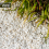 Rolawn White Marble Chippings 9-12mm Bulk Bag 4