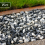 Rolawn® Black Ice 20mm Bulk Bag 4