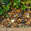 Rolawn® Rounded Lydd Pebbles 20mm Bulk Bag 4