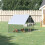Poulailler de jardin avec structure galvanisée, bâche imperméable et grillage hexagonal 4