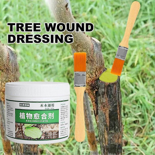 (Green) User-friendly Professional Classic Paste Sealer Smear Tree Agent Pruning Brush with Bonsai Cut Compound Wound