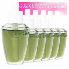 Bath and Body Works 6 Stück Pack Fresh Balsam (0,8 fl oz / 24 mL) Wandblume Duftnachfüller