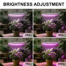 120 Leds Full-Spectrum Growth Lamp 2/4/8-Hour Timing and 4 Brightness Settings for Indoor Hydroponic and Plant Black