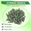 100 pezzi Plastica Verde Conica Pinhead Glue Liquid Dispenser Needles 14G 2