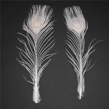200 PCS/Natural White Feathers in the Eye, 10 to 12 Inches of the Feather Wedding Decoration