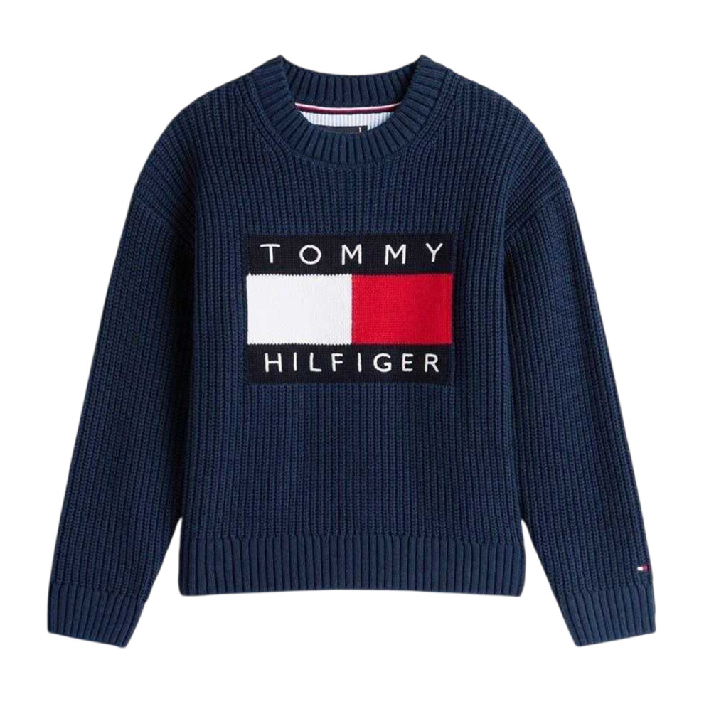 Tommy Hilfiger (14 Years, Heritage) Boys Ribbed Embroidered Regular Sweater Top
