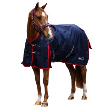(6' 0", Navy) Whitaker Rastrick V2 Standard-Neck 100g Horse Turnout Rug