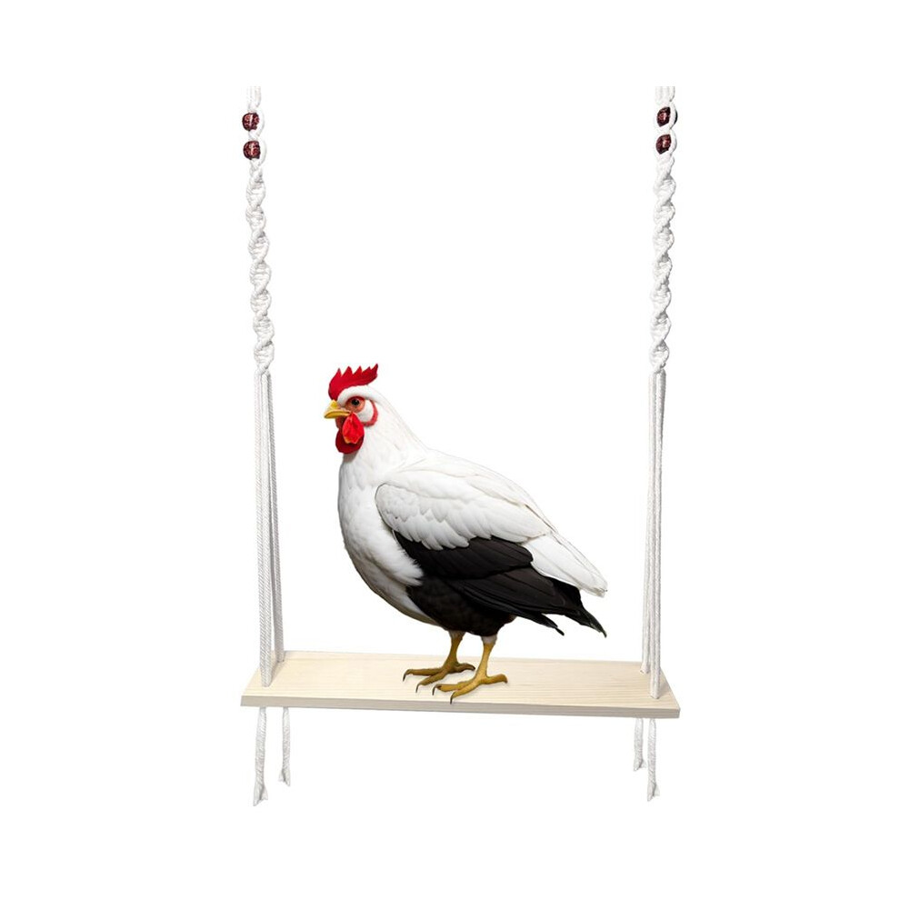 Torribaly Chicken Swing Toy For Large Chicken Coop, Chicken Enrichment Toy For Hens And Roosters, Wooden Chicken Coop Accessories