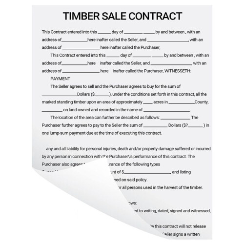 100 Sheets for Phomemo A4 Thermal Paper M08F Printer Quick-Dry Continuous Thermal Paper Documents Study Notes 2