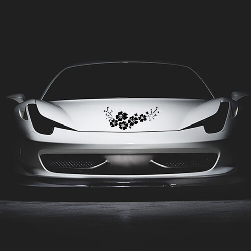 Copertina Rigida Per Auto Con Deco Rimovibile Impermeabile 2