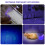 Light Flashlight for Pet Urine Detection, Portable UV 395 Nm Light Torch,  LED Detector 4