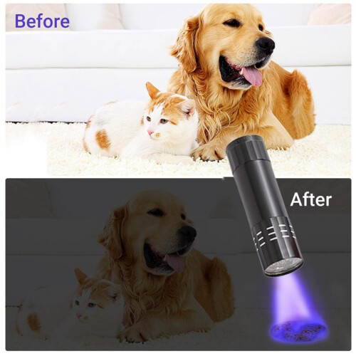 Light Flashlight for Pet Urine Detection, Portable UV 395 Nm Light Torch,  LED Detector 1