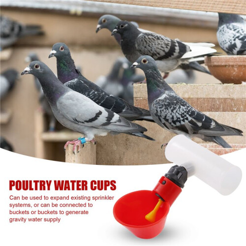 Chicken Drinking Cup 10 Pieces Automatic Drinker Drinker Red Plastic Duck Bird Quail  Hen Drinker Bowl 1