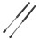 Hyundai Sonata 2015-2017 Hood Struts Pair 3