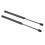 Hyundai Sonata 2015-2017 Hood Struts Pair 13