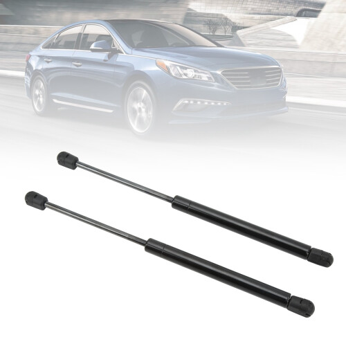 Pair Car Hydraulic Rod Lift Supports 2