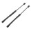 Hyundai Sonata 2015-2017 Hood Struts Pair 4
