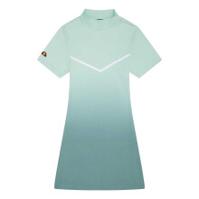 (6 UK, Light Green) Ellesse Womens/Ladies Rosalo Ombre T-Shirt Dress