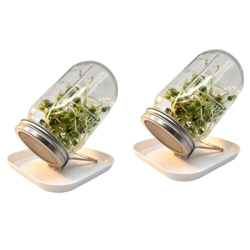 Kit di 2 Vasetti per Germinazione con Bocca Larga, Coperchi con Rete, Supporto e Vassoio.